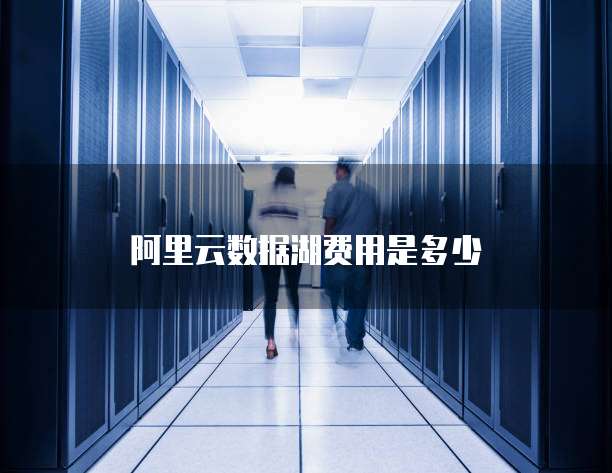阿里云数据湖费用是多少