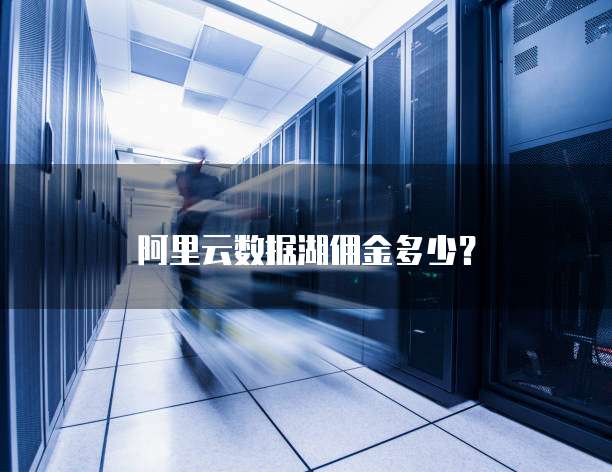 阿里云数据湖佣金多少?