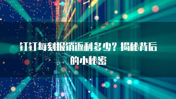 钉钉每刻报销返利多少?揭秘背后的小秘密