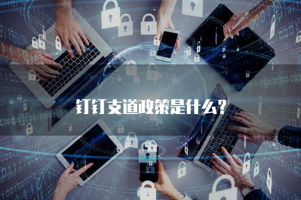 钉钉支道政策是什么？