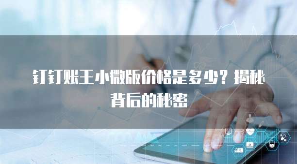 钉钉账王小微版价格是多少？揭秘背后的秘密