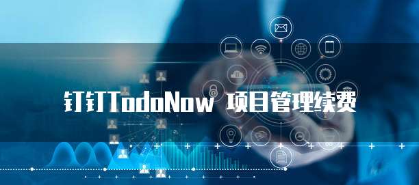 钉钉TodoNow 项目管理续费