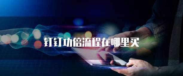 钉钉功倍流程在哪里买