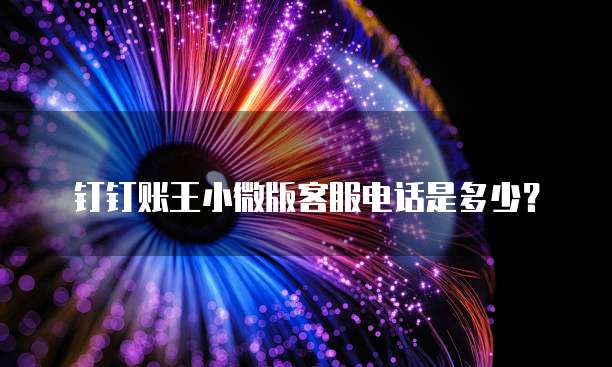 钉钉账王小微版客服电话是多少?