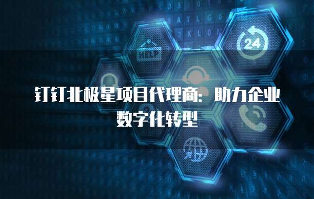 钉钉北极星项目代理商:助力企业数字化转型