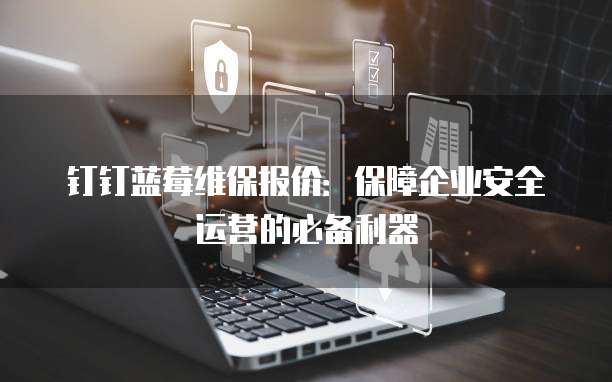 钉钉蓝莓维保报价：保障企业安全运营的必备利器