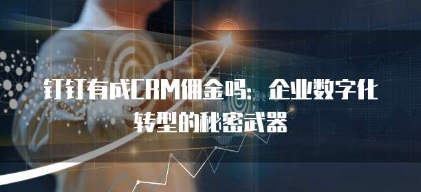 钉钉有成CRM佣金吗:企业数字化转型的秘密武器