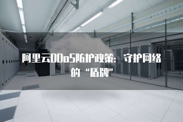 阿里云DDoS防护政策:守护网络的“盾牌”
