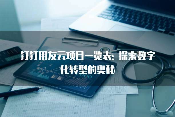 钉钉用友云项目一览表: 探索数字化转型的奥秘
