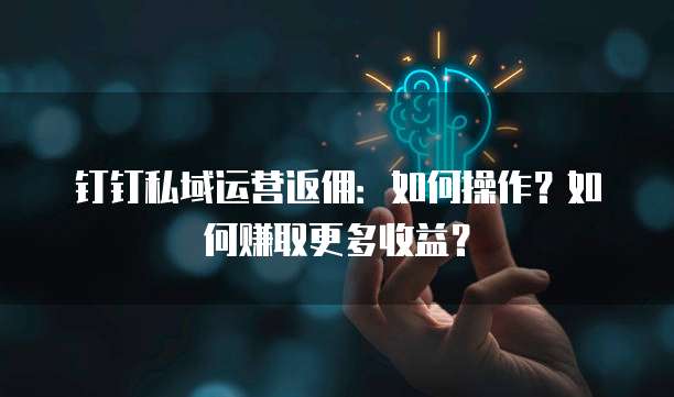 钉钉私域运营返佣:如何操作?如何赚取更多收益?