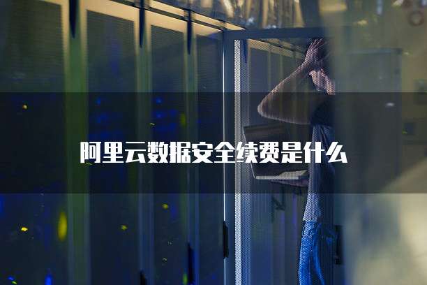 阿里云数据安全续费是什么