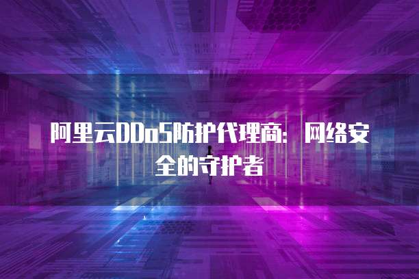 阿里云DDoS防护代理商:网络安全的守护者