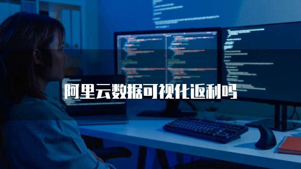 阿里云数据可视化返利吗