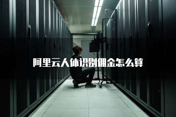 阿里云人体识别佣金怎么算