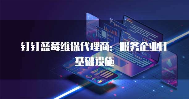 钉钉蓝莓维保代理商:服务企业IT基础设施
