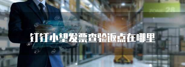 钉钉小望发票查验返点在哪里