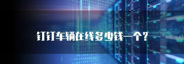 钉钉车辆在线多少钱一个？