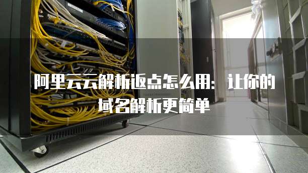 阿里云云解析返点怎么用:让你的域名解析更简单