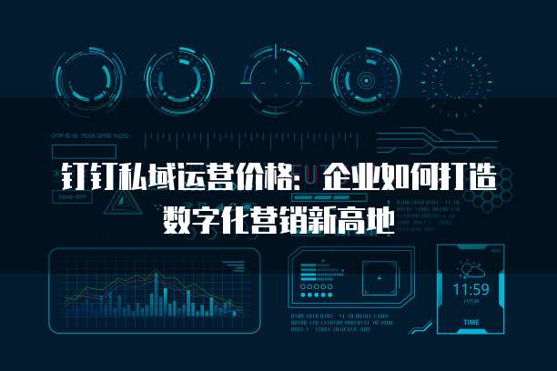 钉钉私域运营价格：企业如何打造数字化营销新高地