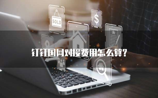 钉钉国网对接费用怎么算？
