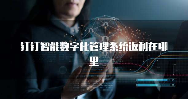钉钉智能数字化管理系统返利在哪里