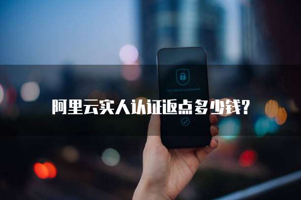 阿里云实人认证返点多少钱?