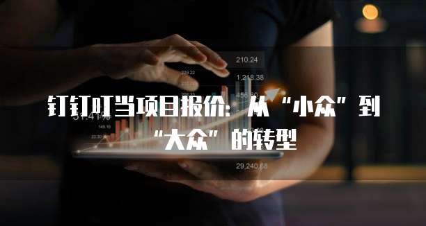 钉钉叮当项目报价:从“小众”到“大众”的转型