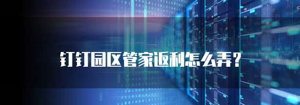 钉钉园区管家返利怎么弄?