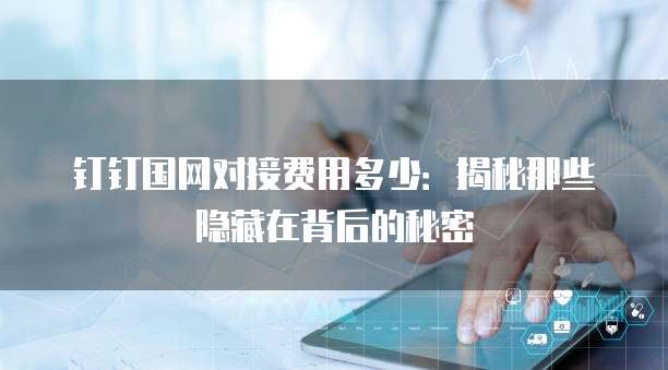 钉钉国网对接费用多少：揭秘那些隐藏在背后的秘密