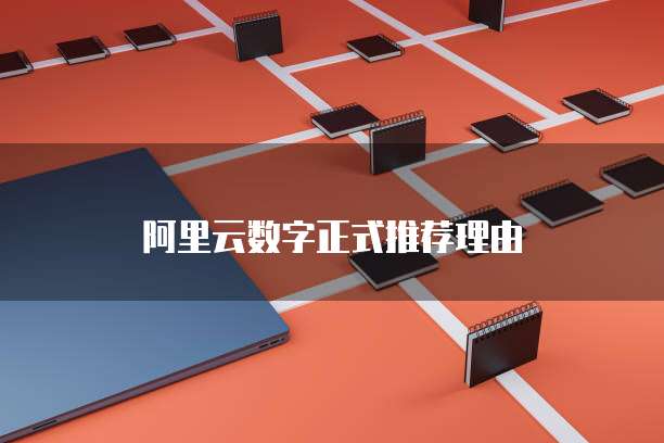 阿里云数字正式推荐理由