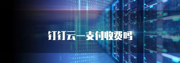 钉钉云一支付收费吗