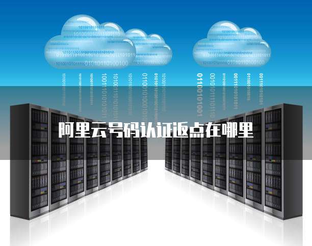 阿里云号码认证返点在哪里
