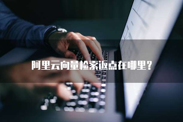 阿里云向量检索返点在哪里?