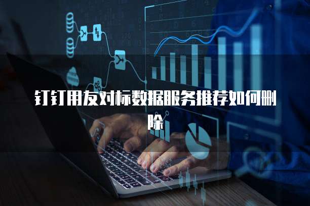 钉钉用友对标数据服务推荐如何删除