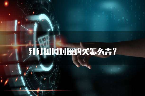 钉钉国网对接购买怎么弄？