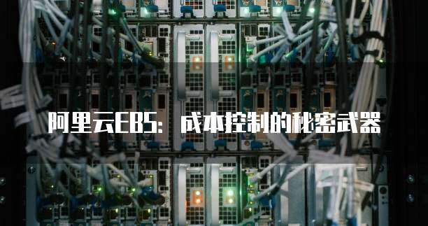 阿里云EBS:成本控制的秘密武器