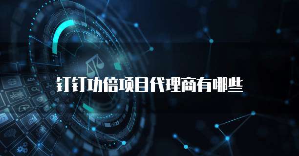 钉钉功倍项目代理商有哪些