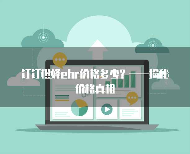 钉钉橙蜂ehr价格多少？&mdash;&mdash;揭秘价格真相