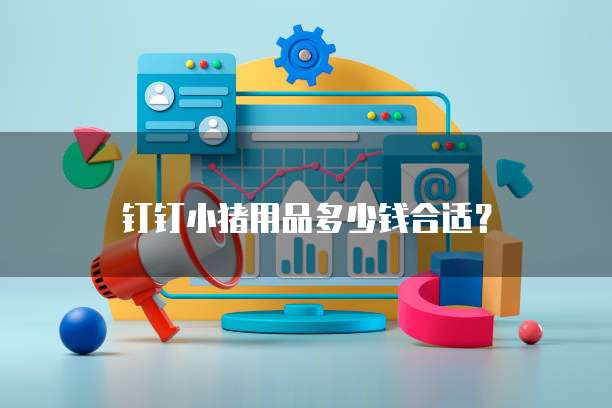 钉钉小猪用品多少钱合适？