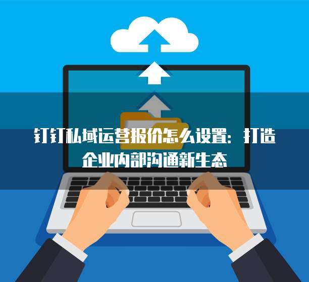 钉钉私域运营报价怎么设置：打造企业内部沟通新生态