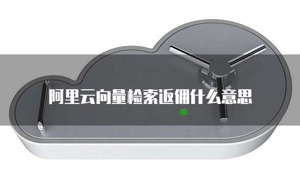阿里云向量检索返佣什么意思