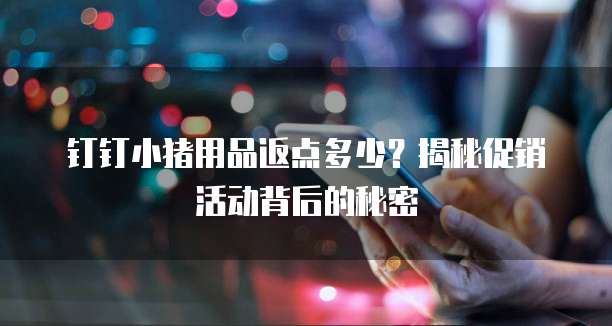 钉钉小猪用品返点多少?揭秘促销活动背后的秘密