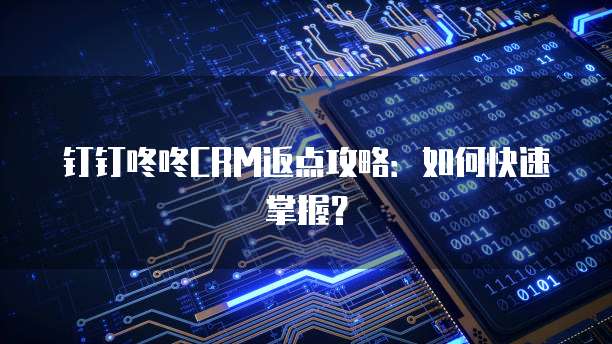 钉钉咚咚CRM返点攻略:如何快速掌握?