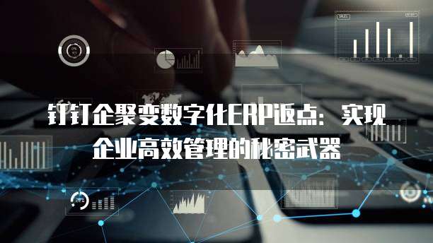 钉钉企聚变数字化ERP返点:实现企业高效管理的秘密武器