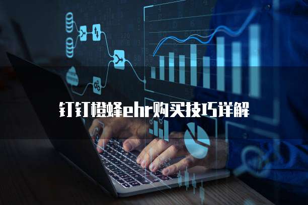 钉钉橙蜂ehr购买技巧详解