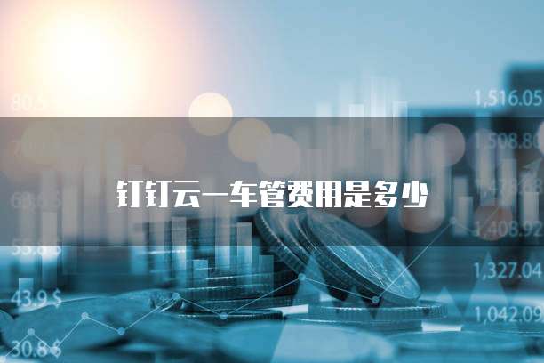 钉钉云一车管费用是多少