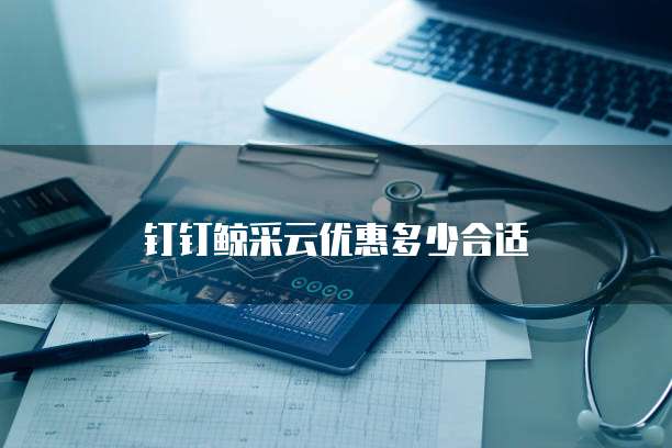 钉钉鲸采云优惠多少合适