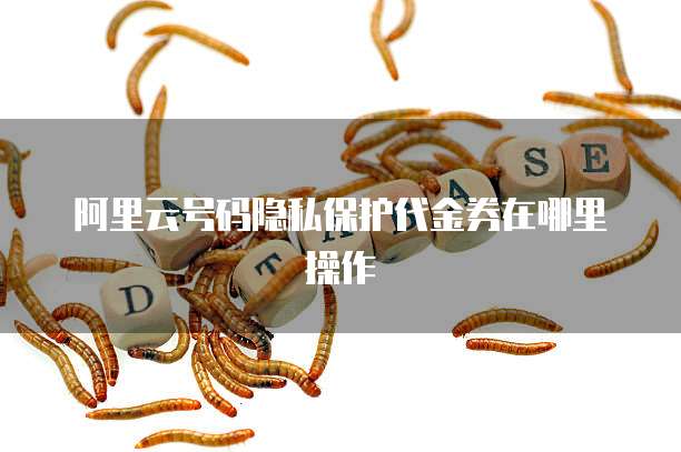 阿里云号码隐私保护代金券在哪里操作