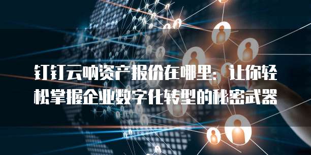 钉钉云呐资产报价在哪里:让你轻松掌握企业数字化转型的秘密武器