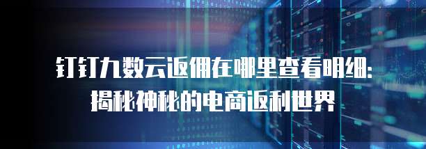 钉钉九数云返佣在哪里查看明细:揭秘神秘的电商返利世界